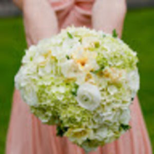 Meet your Posher, Natasha